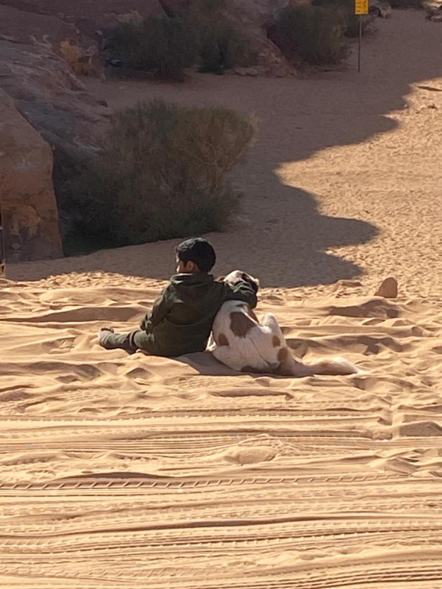 Wadi Rum Bedouin Heart Camp Kültér fotó