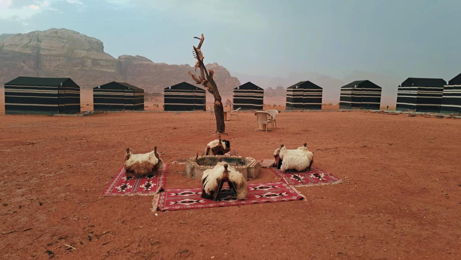 Wadi Rum Bedouin Heart Camp Kültér fotó